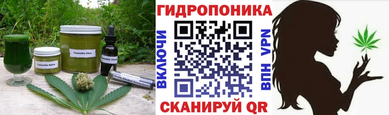 купить  цена  Болгар  Печенье с ТГК марихуана 