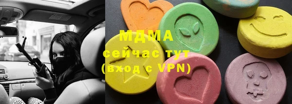 индика Нижний Тагил
