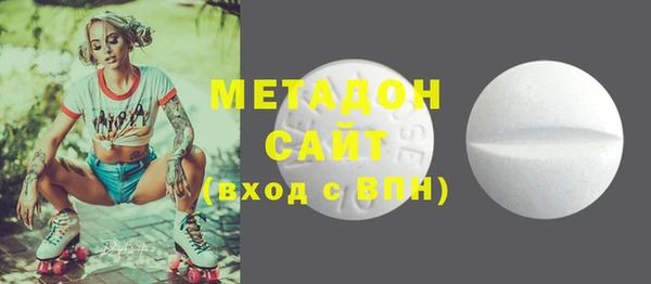 индика Нижний Тагил