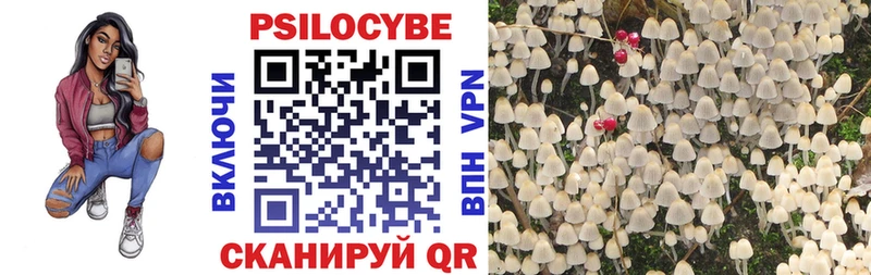 Галлюциногенные грибы ЛСД  Болгар 